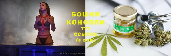 apvp Богданович