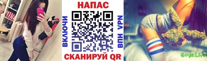 Конопля SATIVA & INDICA  hydra вход  Яранск 